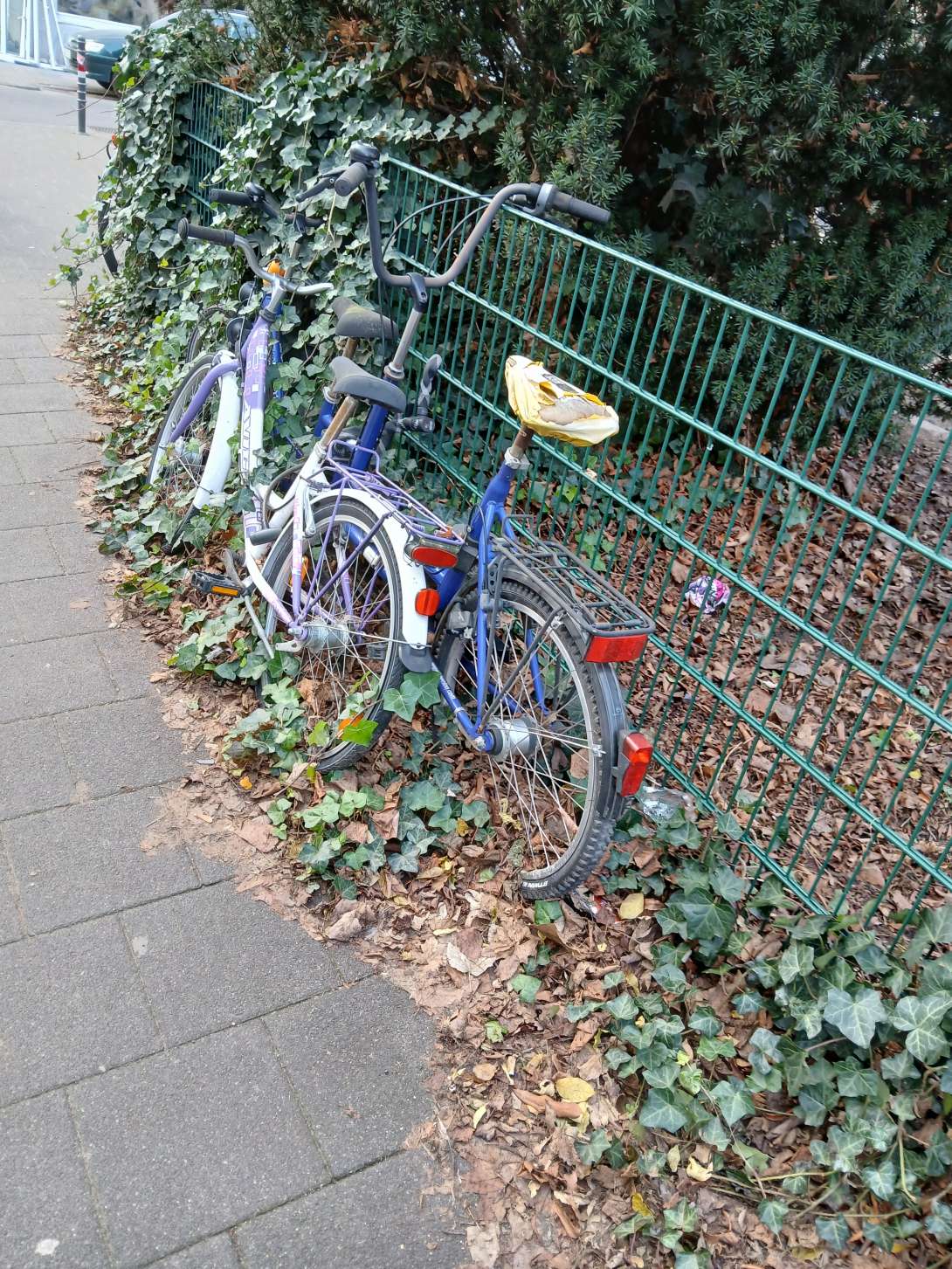 Bild zu gemeldetem Anliegen vom *2025-12-19 20:51:14