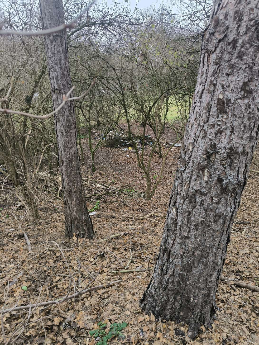 Bild zu gemeldetem Anliegen vom *2025-12-29 12:29:52