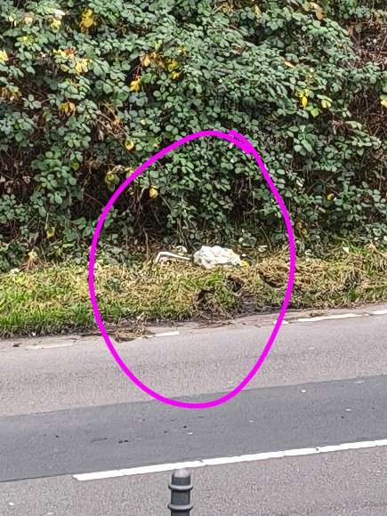 Bild zu gemeldetem Anliegen vom *2025-12-23 13:19:16