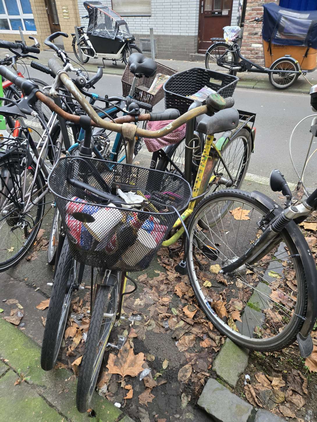 Bild zu gemeldetem Anliegen vom *2025-12-14 09:39:20