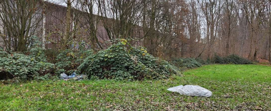 Bild zu gemeldetem Anliegen vom *2025-12-09 13:53:07