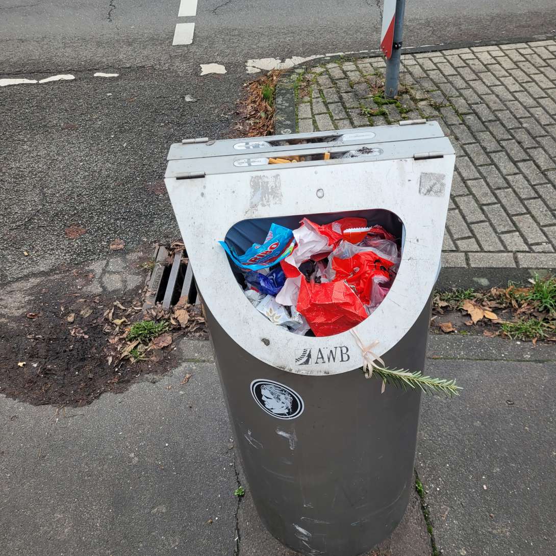 Bild zu gemeldetem Anliegen vom *2025-12-14 18:33:03