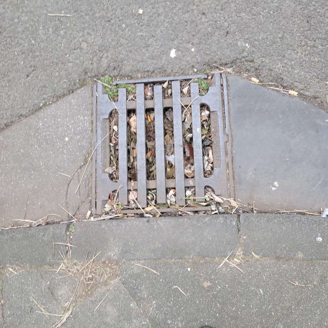 Bild zu gemeldetem Anliegen vom *2025-12-29 12:29:52