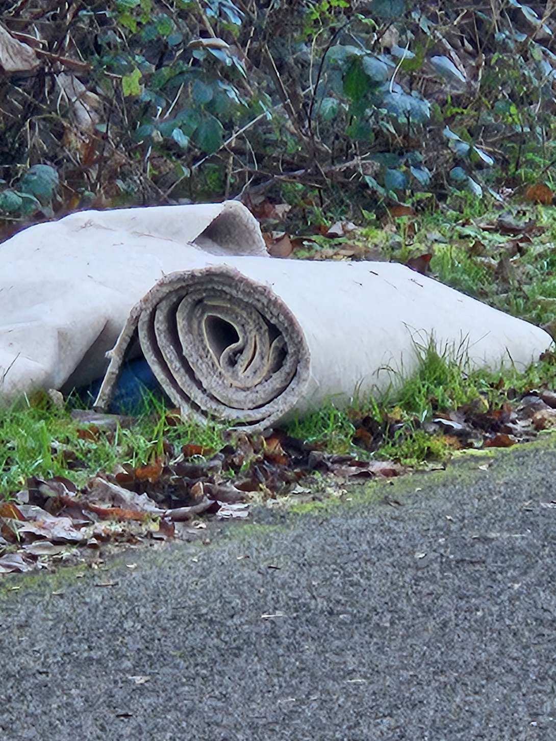 Bild zu gemeldetem Anliegen vom *2025-12-28 15:29:33