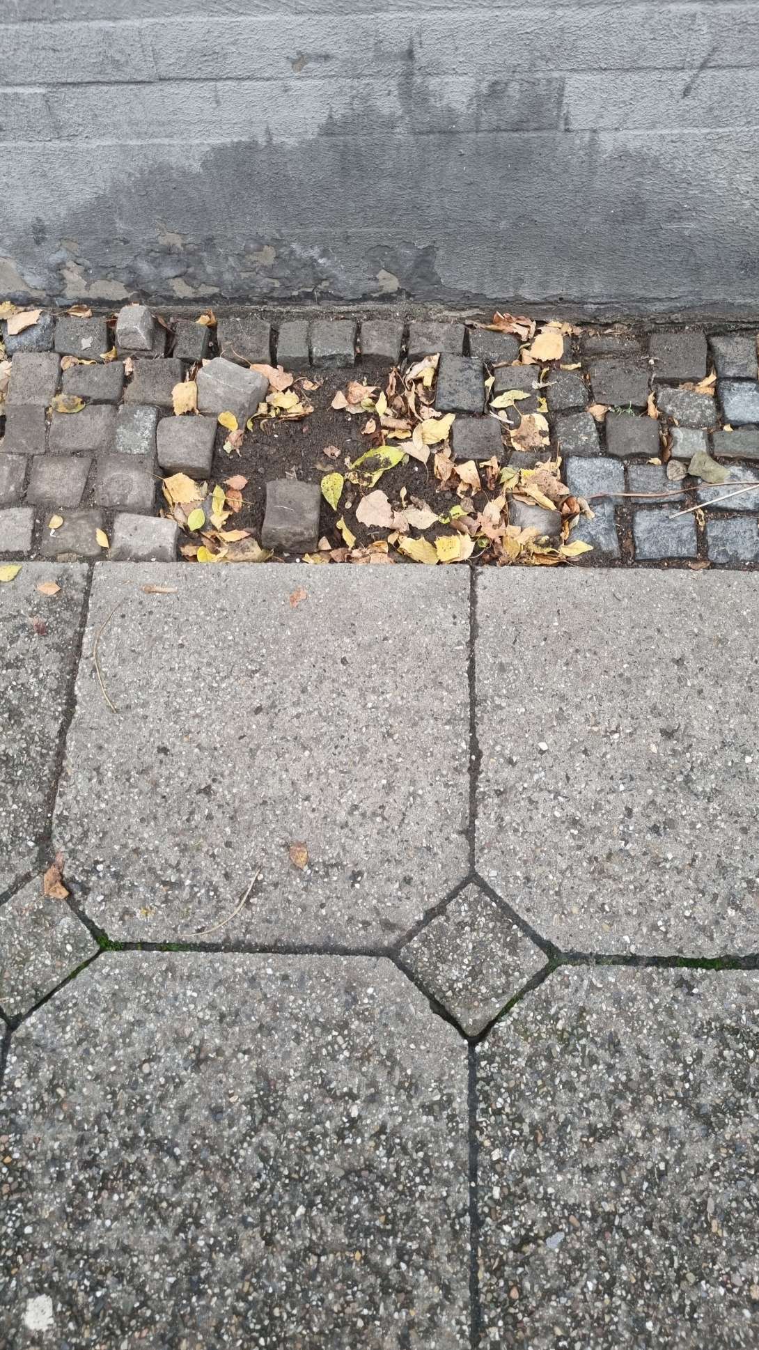 Bild zu gemeldetem Anliegen vom *2025-12-18 06:27:34