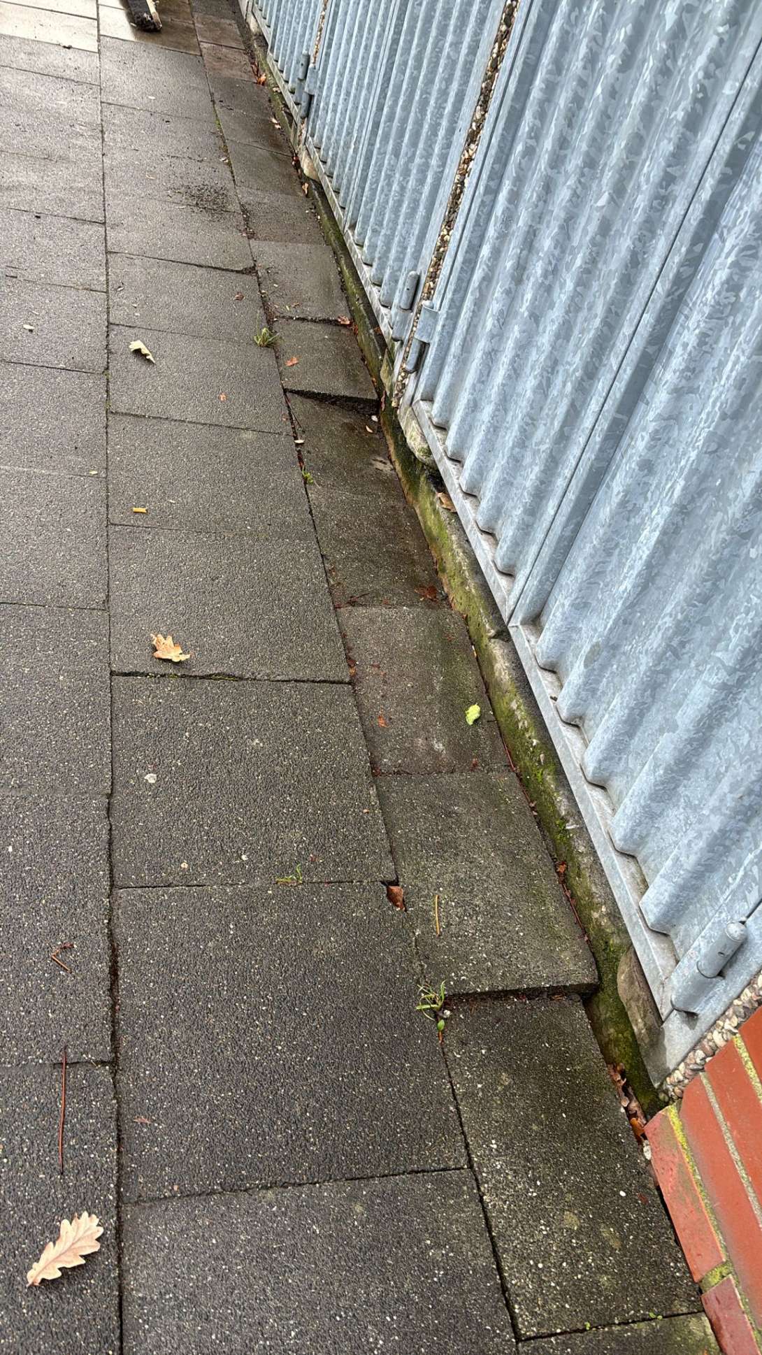 Bild zu gemeldetem Anliegen vom *2025-12-19 12:29:16