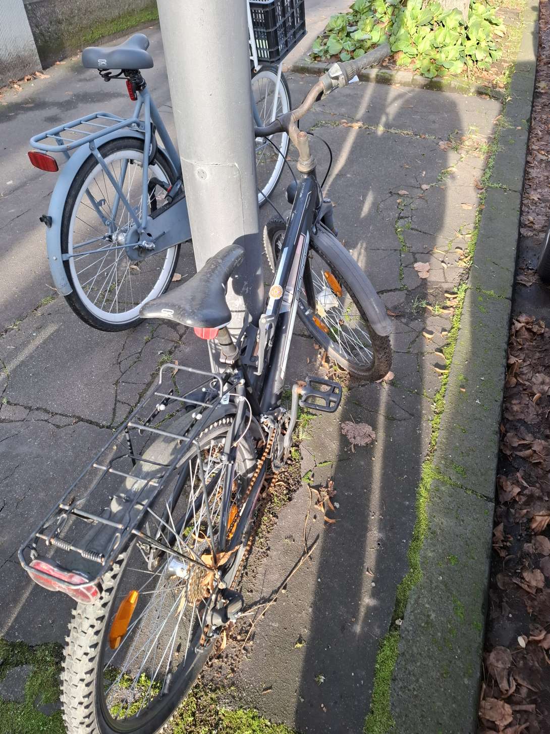 Bild zu gemeldetem Anliegen vom *2025-12-01 09:33:06