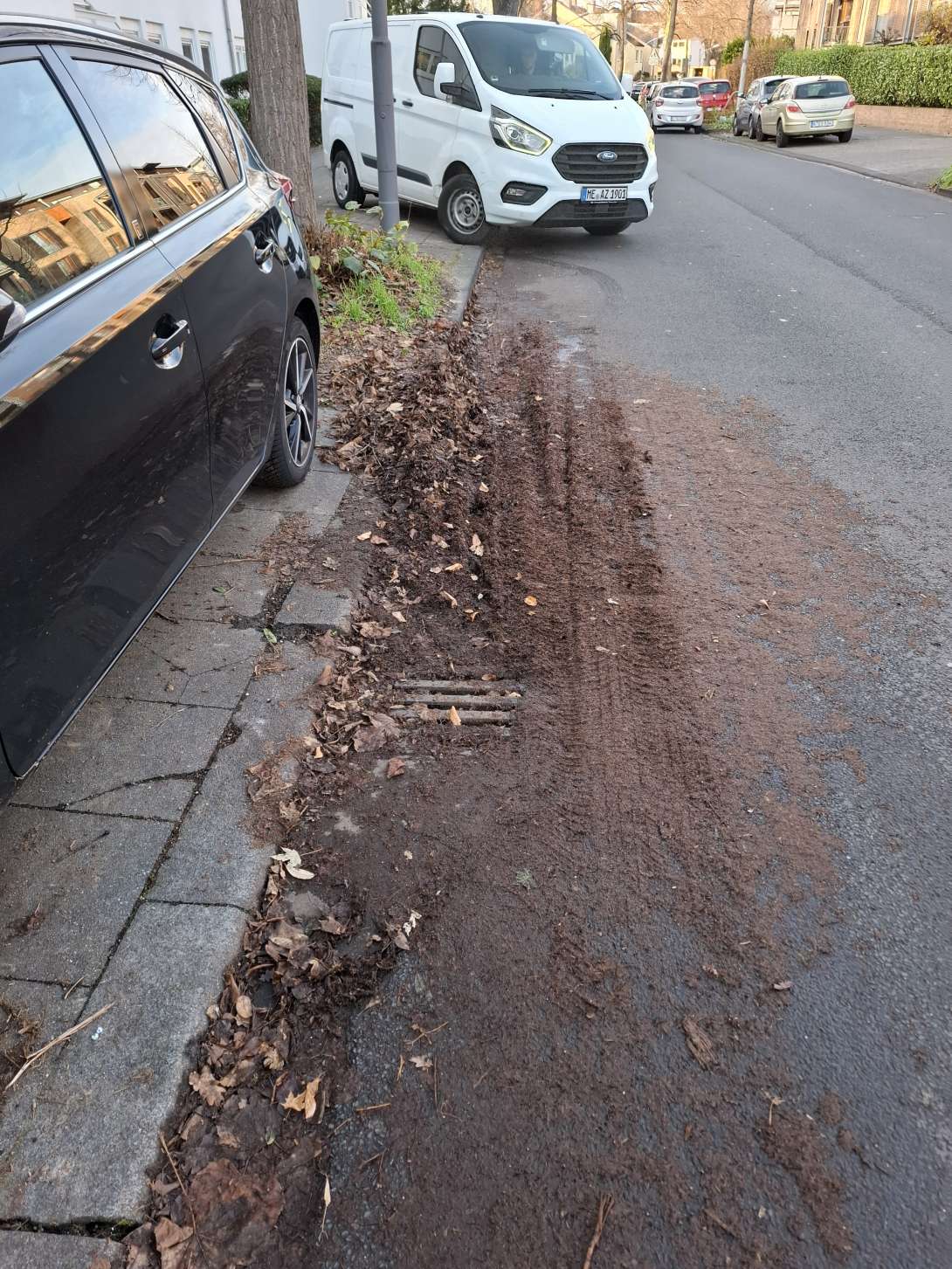 Bild zu gemeldetem Anliegen vom *2025-12-01 13:46:58