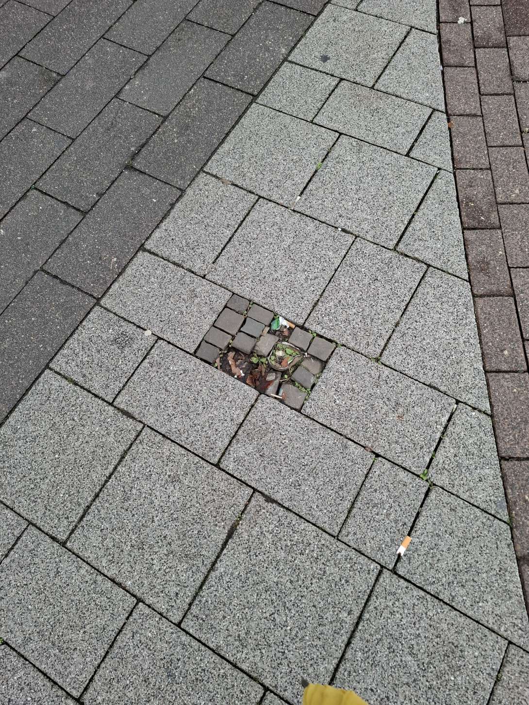 Bild zu gemeldetem Anliegen vom *2025-12-03 14:03:46