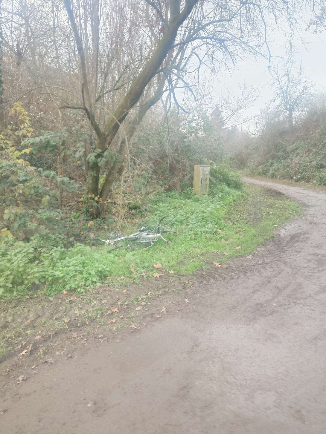 Bild zu gemeldetem Anliegen vom *2025-12-08 12:27:19