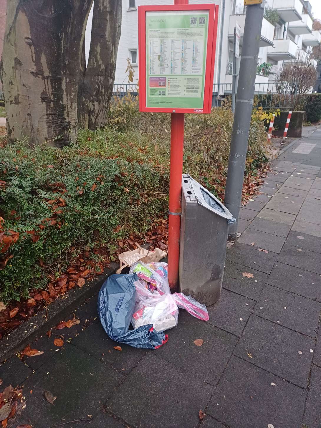 Bild zu gemeldetem Anliegen vom *2025-12-03 09:00:51