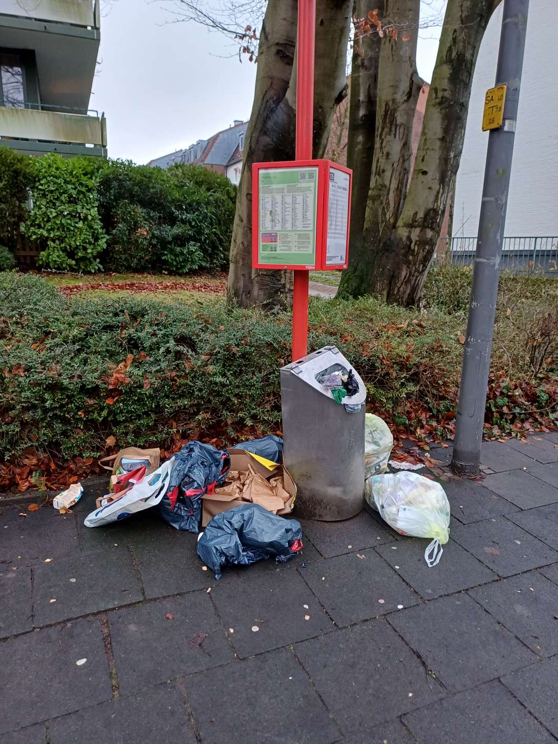 Bild zu gemeldetem Anliegen vom *2025-12-08 08:49:42