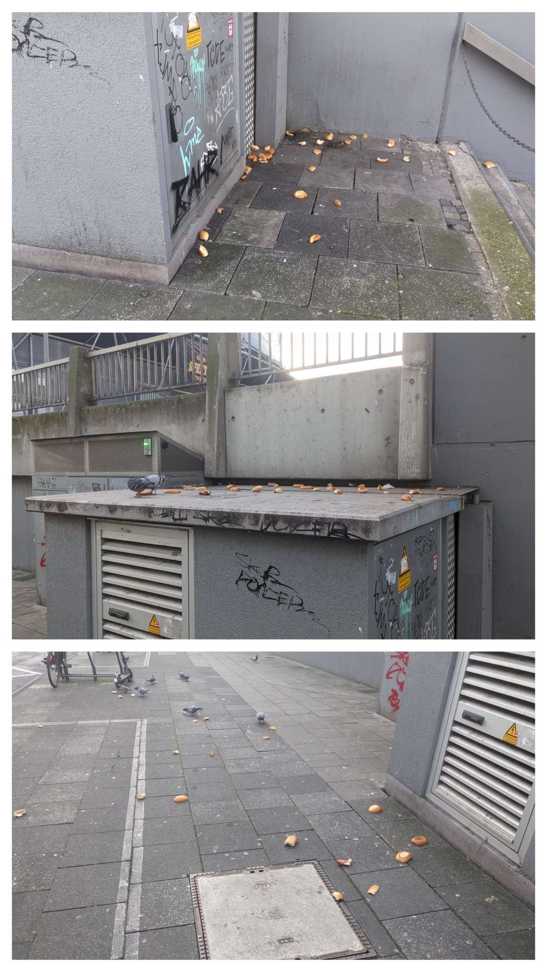 Bild zu gemeldetem Anliegen vom *2025-12-18 10:16:02