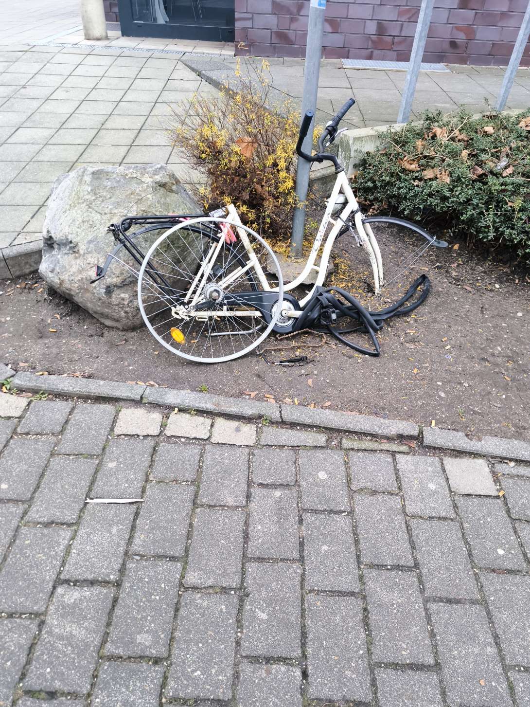 Bild zu gemeldetem Anliegen vom *2025-12-13 13:20:36