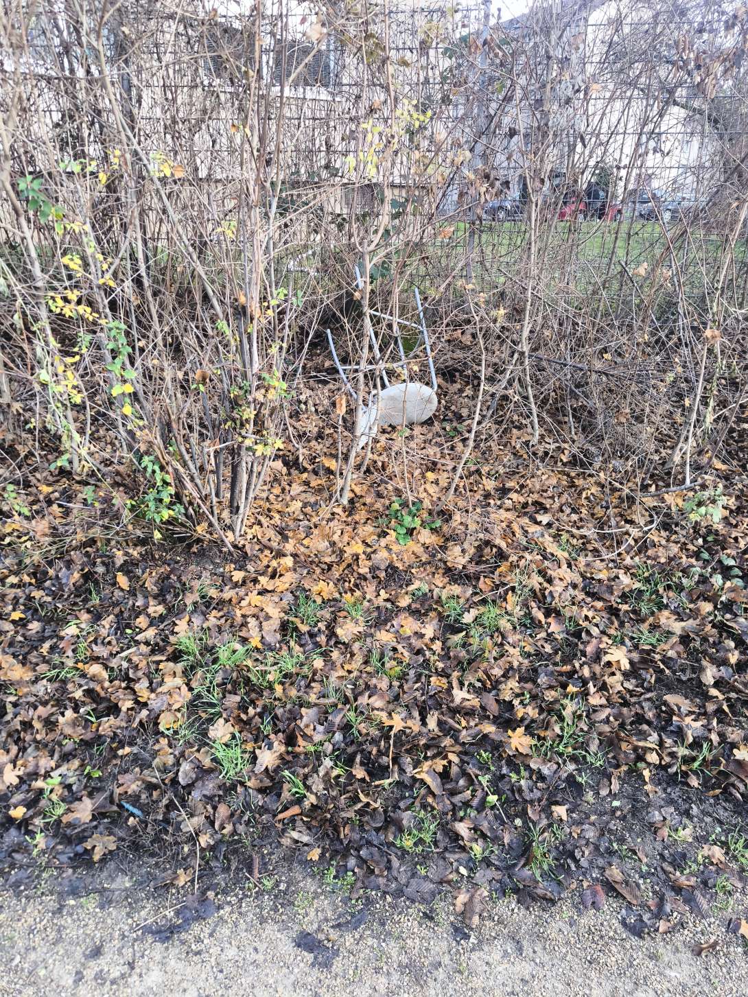 Bild zu gemeldetem Anliegen vom *2025-12-18 13:43:52