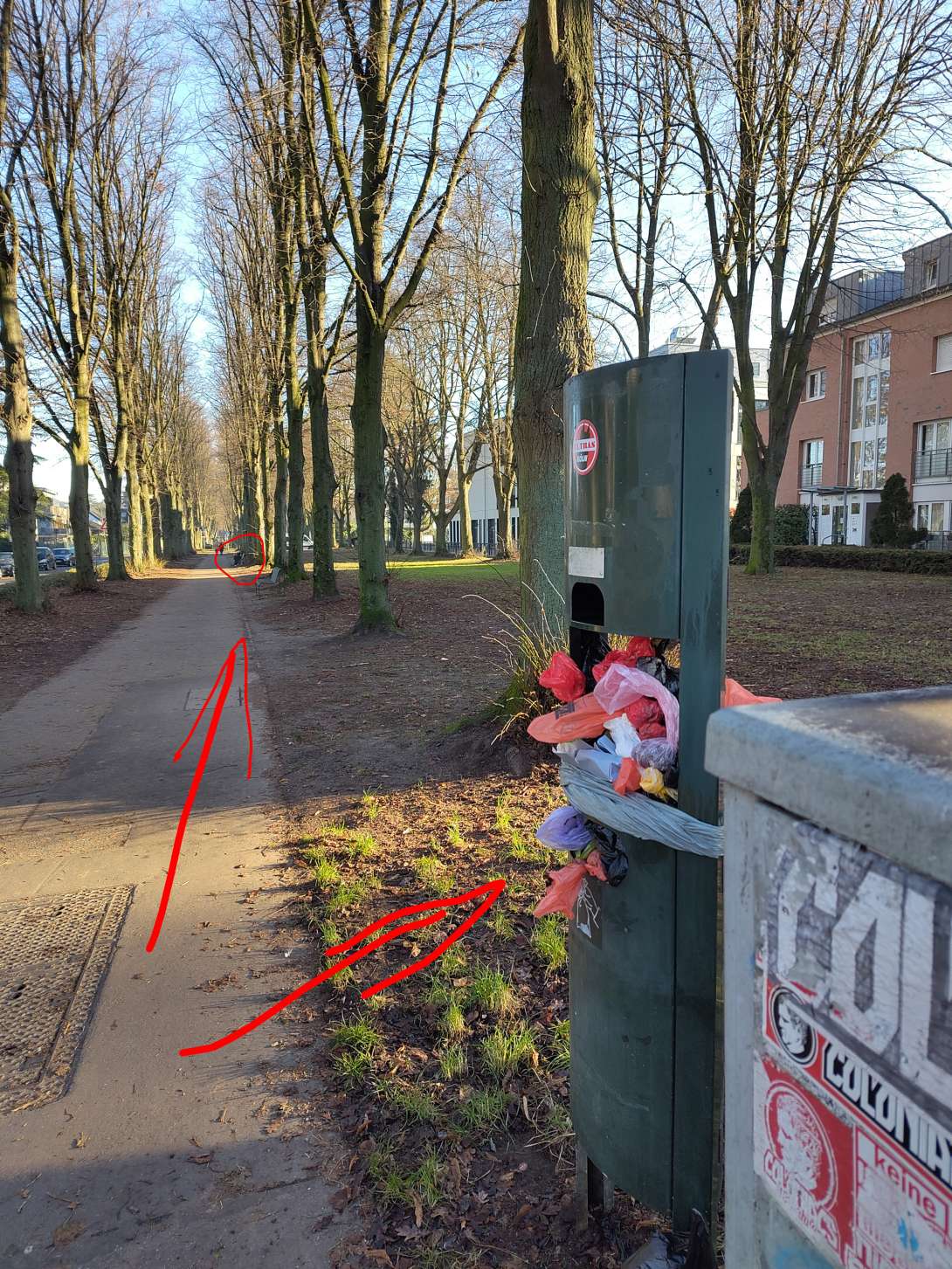 Bild zu gemeldetem Anliegen vom *2025-12-28 12:31:37