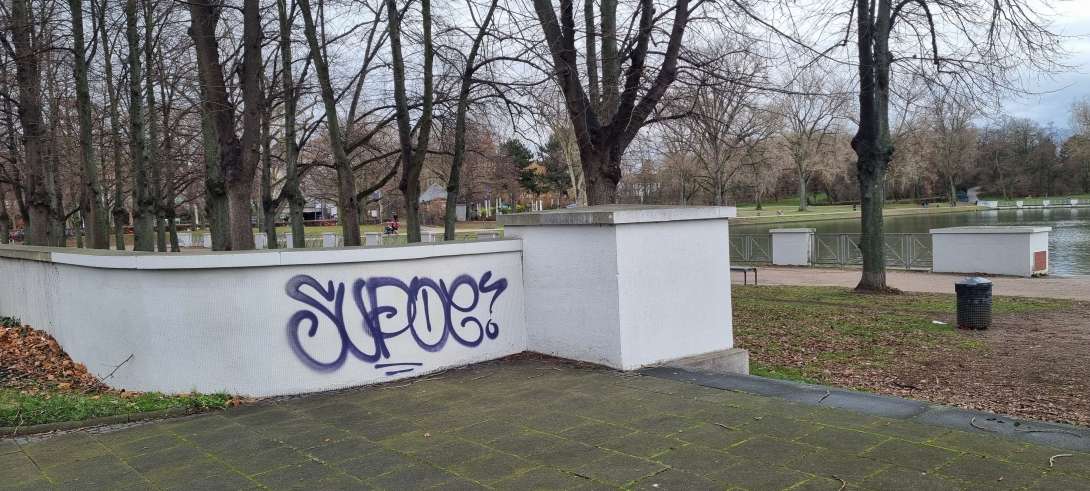 Bild zu gemeldetem Anliegen vom *2025-12-19 15:03:11