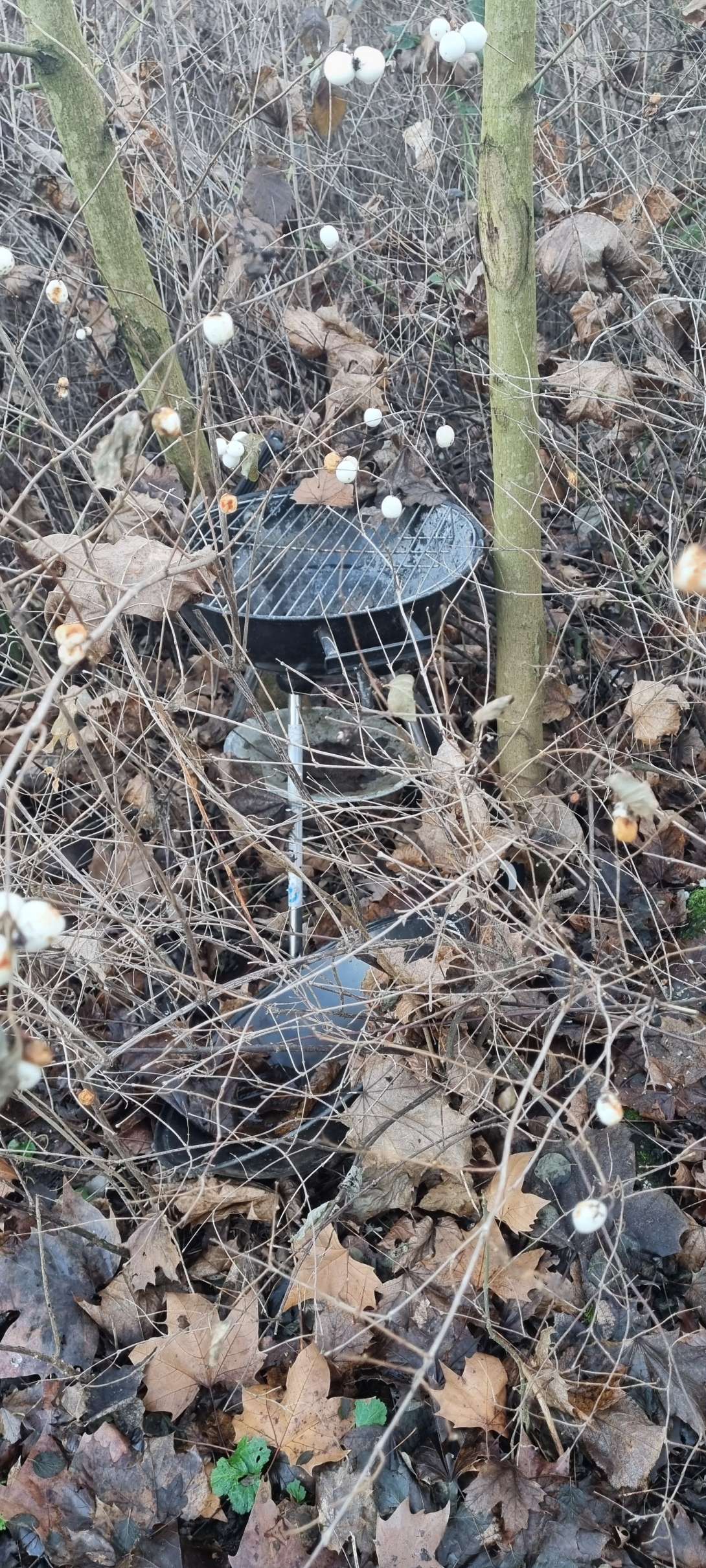 Bild zu gemeldetem Anliegen vom *2025-12-30 15:16:59