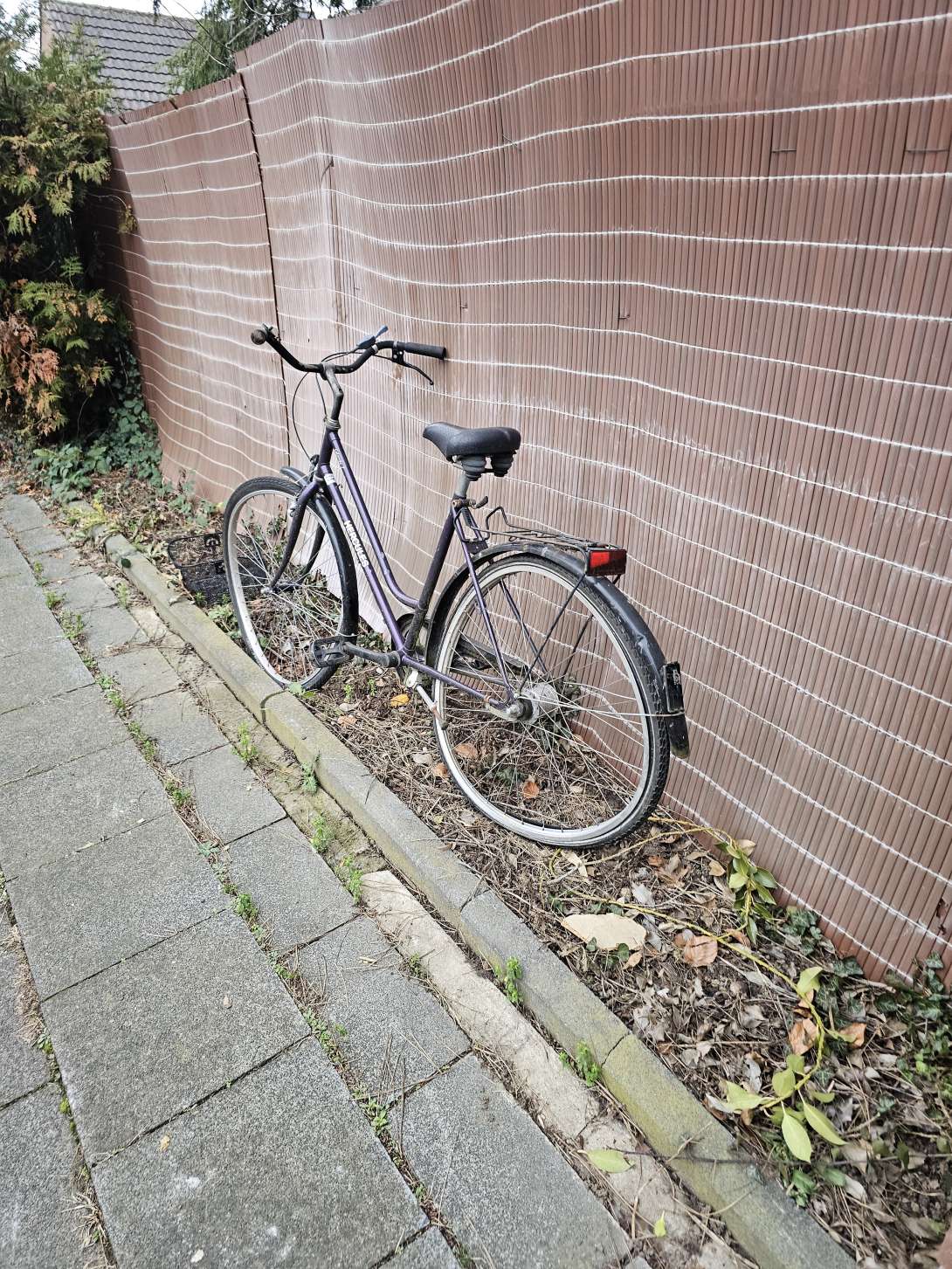 Bild zu gemeldetem Anliegen vom *2025-12-22 21:33:14