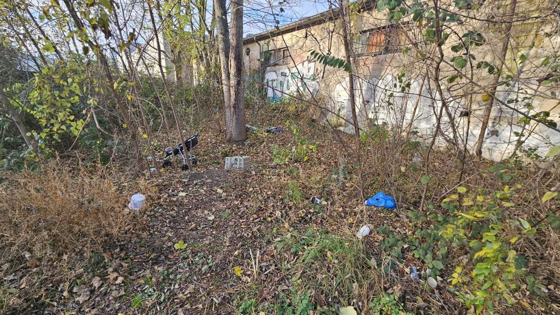 Bild zu gemeldetem Anliegen vom *2025-12-01 14:11:46