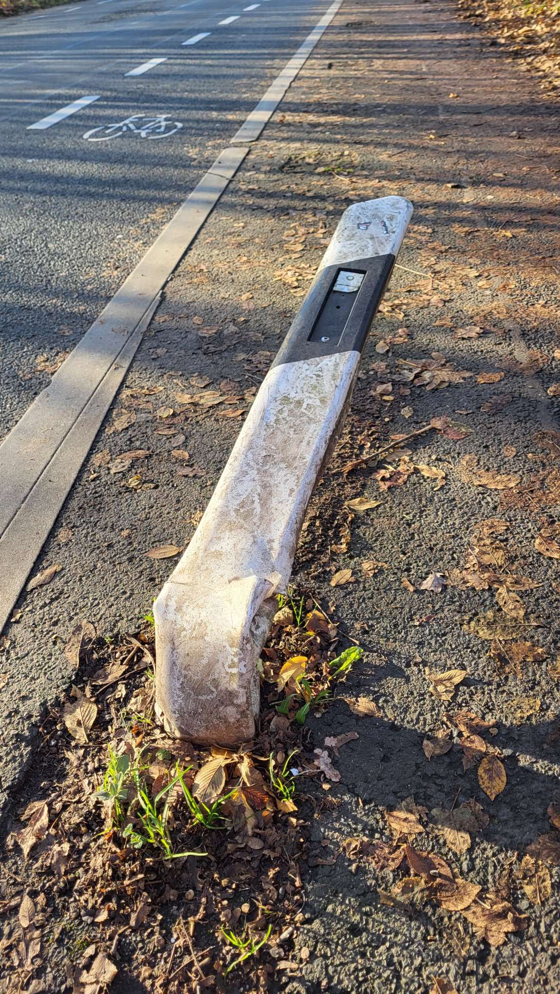 Bild zu gemeldetem Anliegen vom *2025-12-14 14:59:31