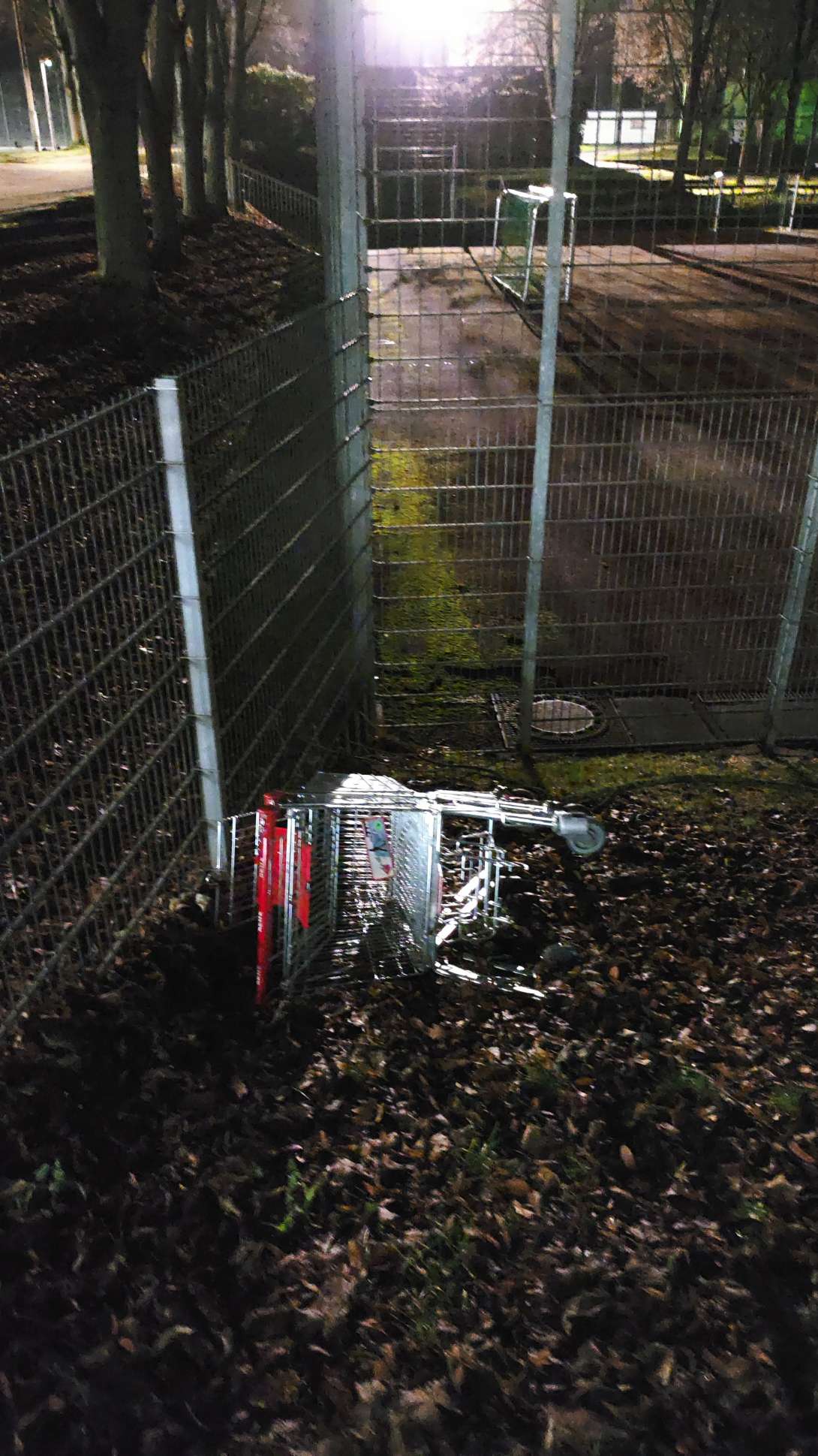 Bild zu gemeldetem Anliegen vom *2025-12-11 08:52:35