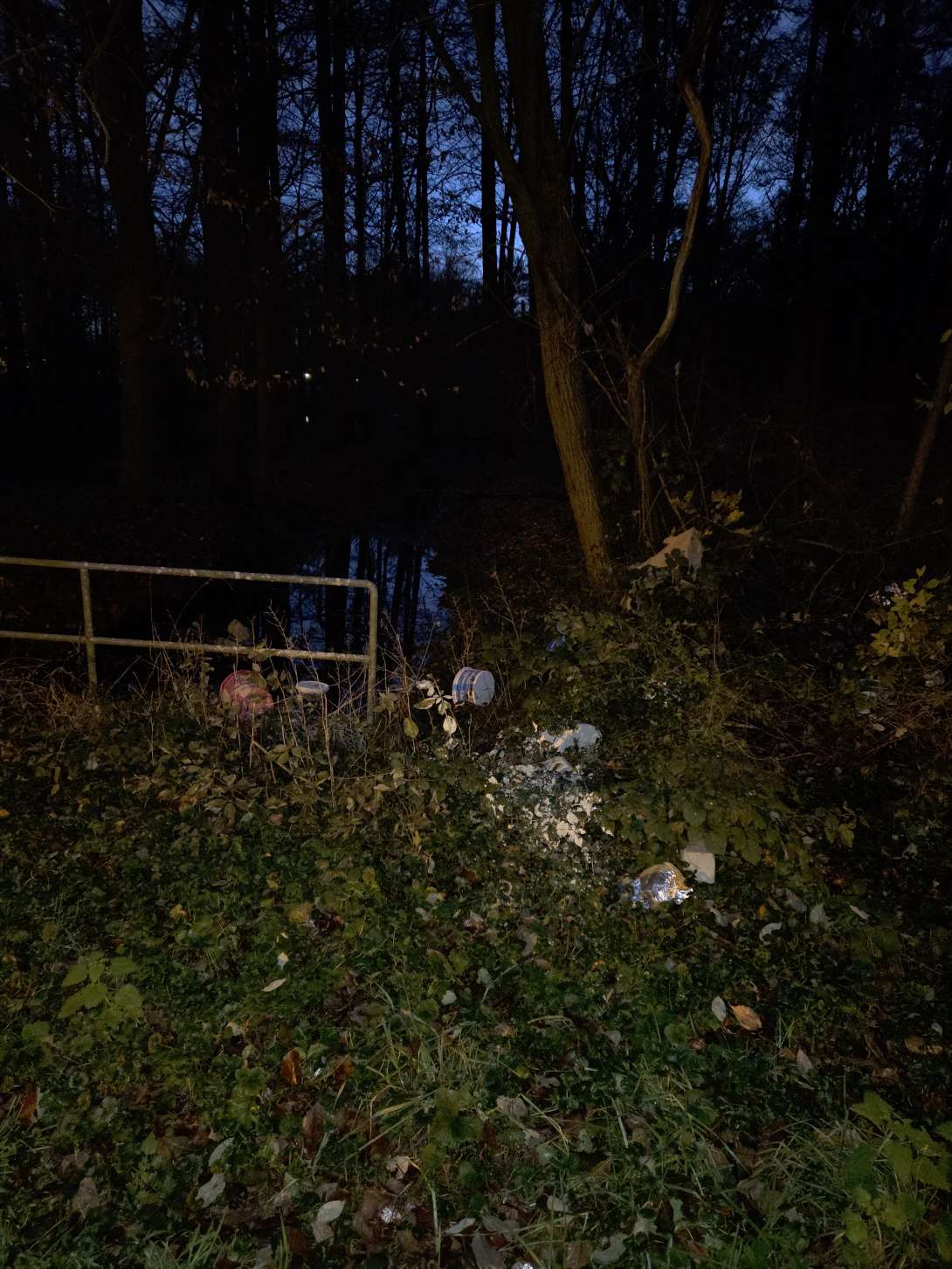 Bild zu gemeldetem Anliegen vom *2025-12-04 17:13:00