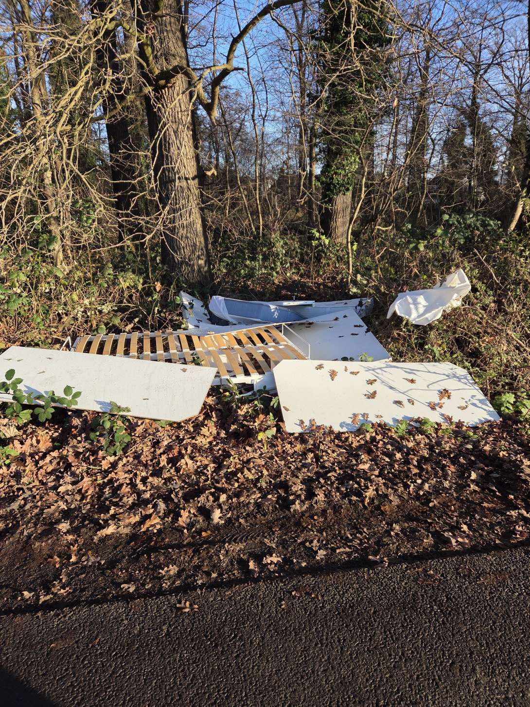 Bild zu gemeldetem Anliegen vom *2025-12-11 14:55:36