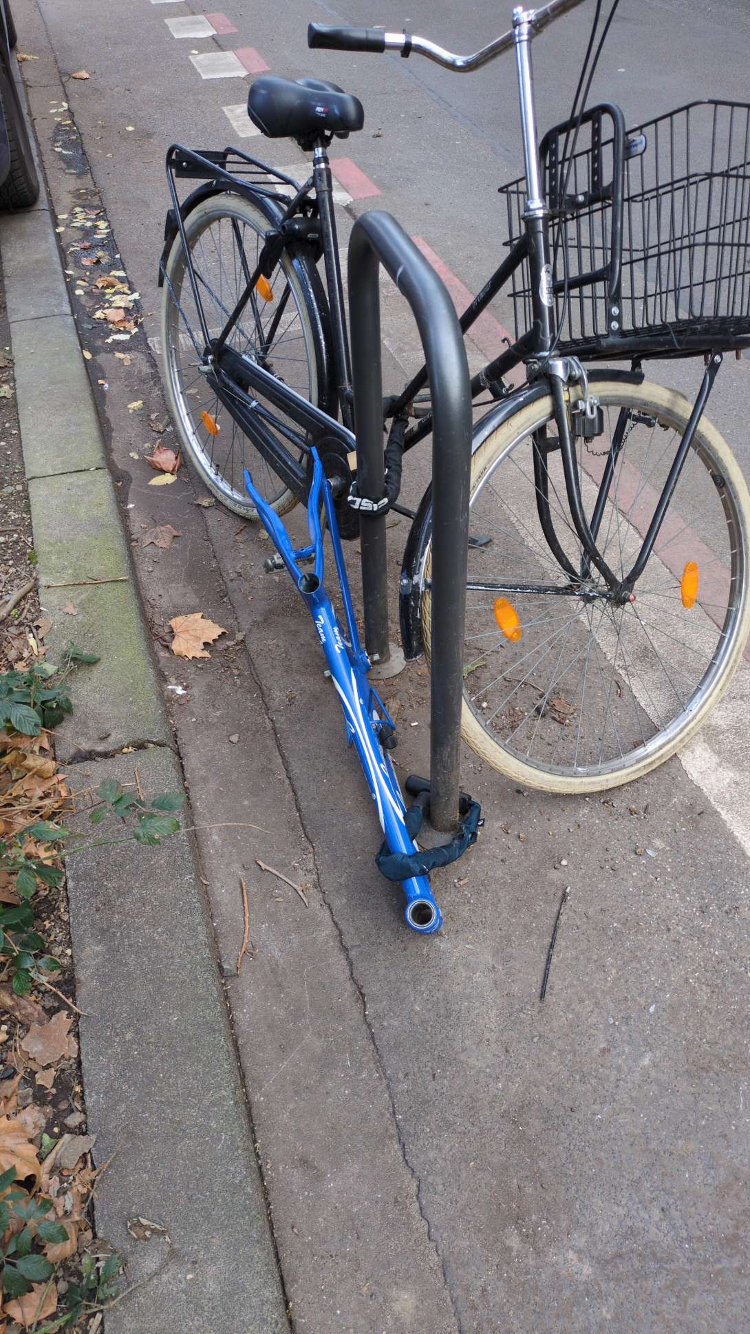 Bild zu gemeldetem Anliegen vom *2025-12-15 12:27:32