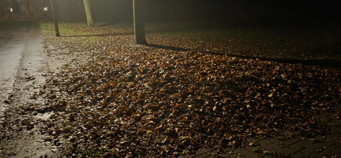 LauAnliegen vom *2025-12-03 06:30:46