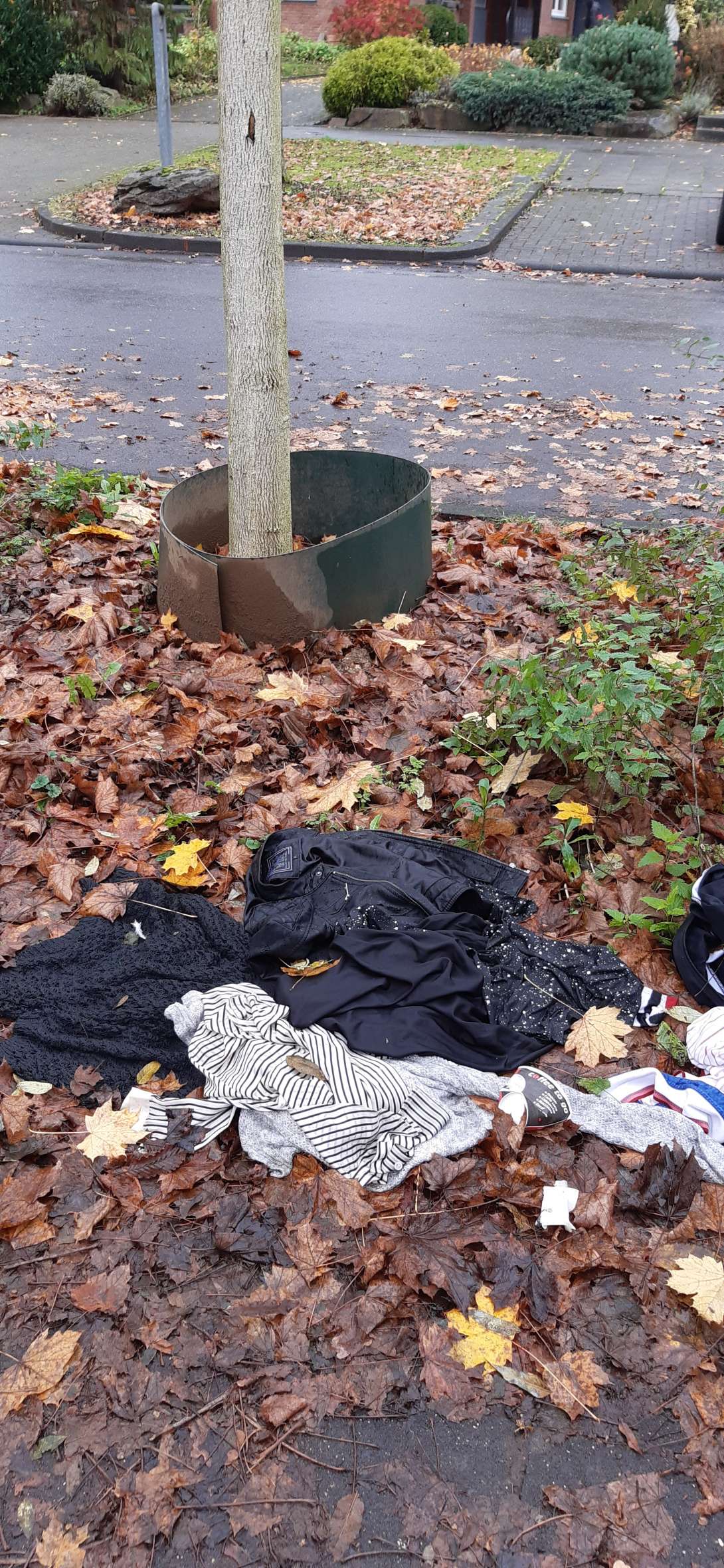 Bild zu gemeldetem Anliegen vom *2025-12-04 15:13:46