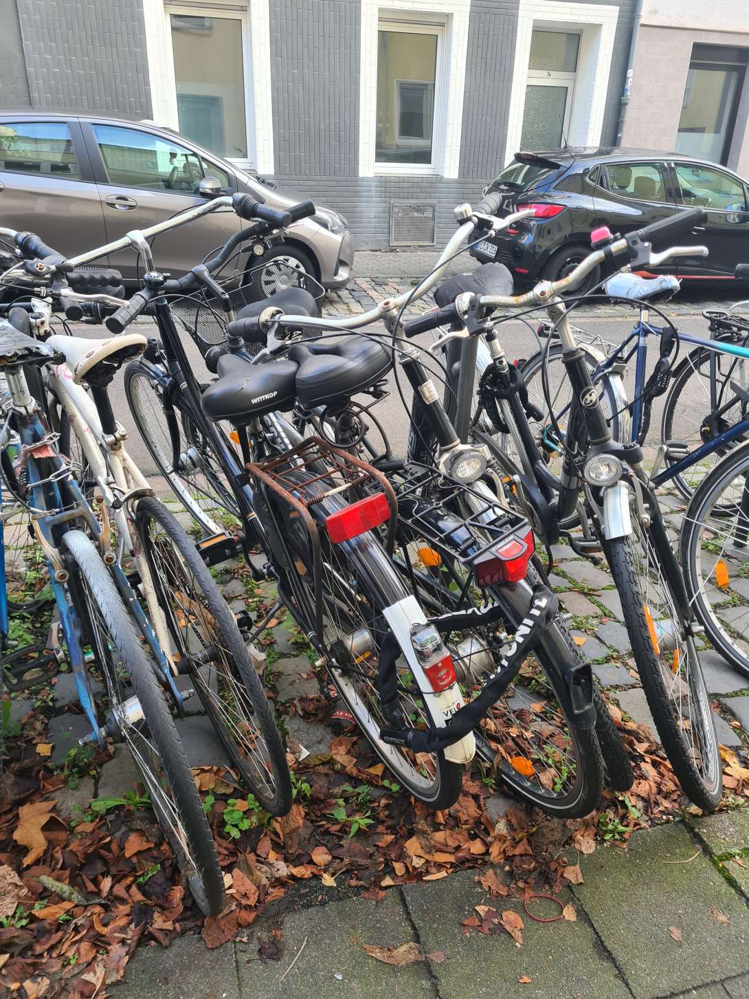 Bild zu gemeldetem Anliegen vom *2025-12-05 10:19:55