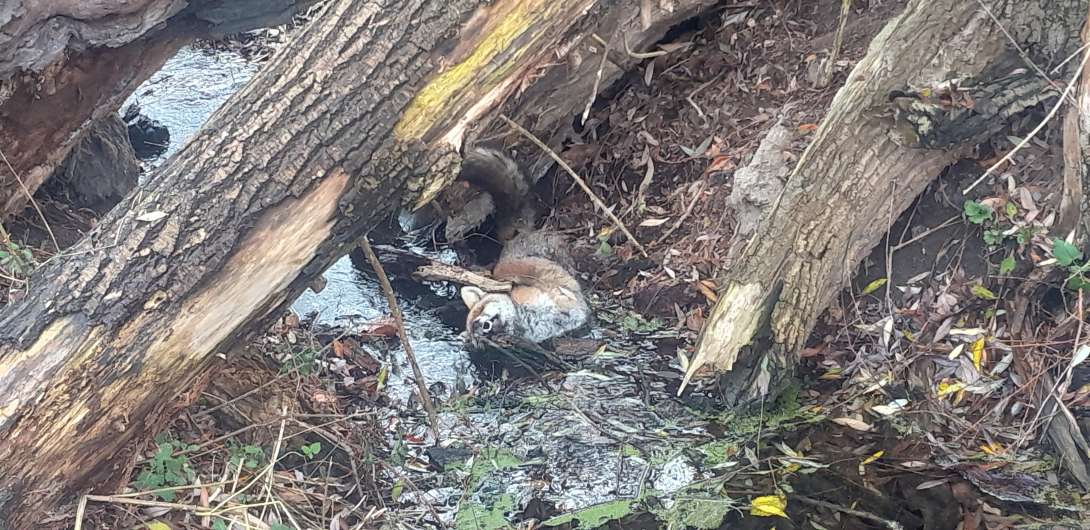 Bild zu gemeldetem Anliegen vom *2025-12-08 13:53:48