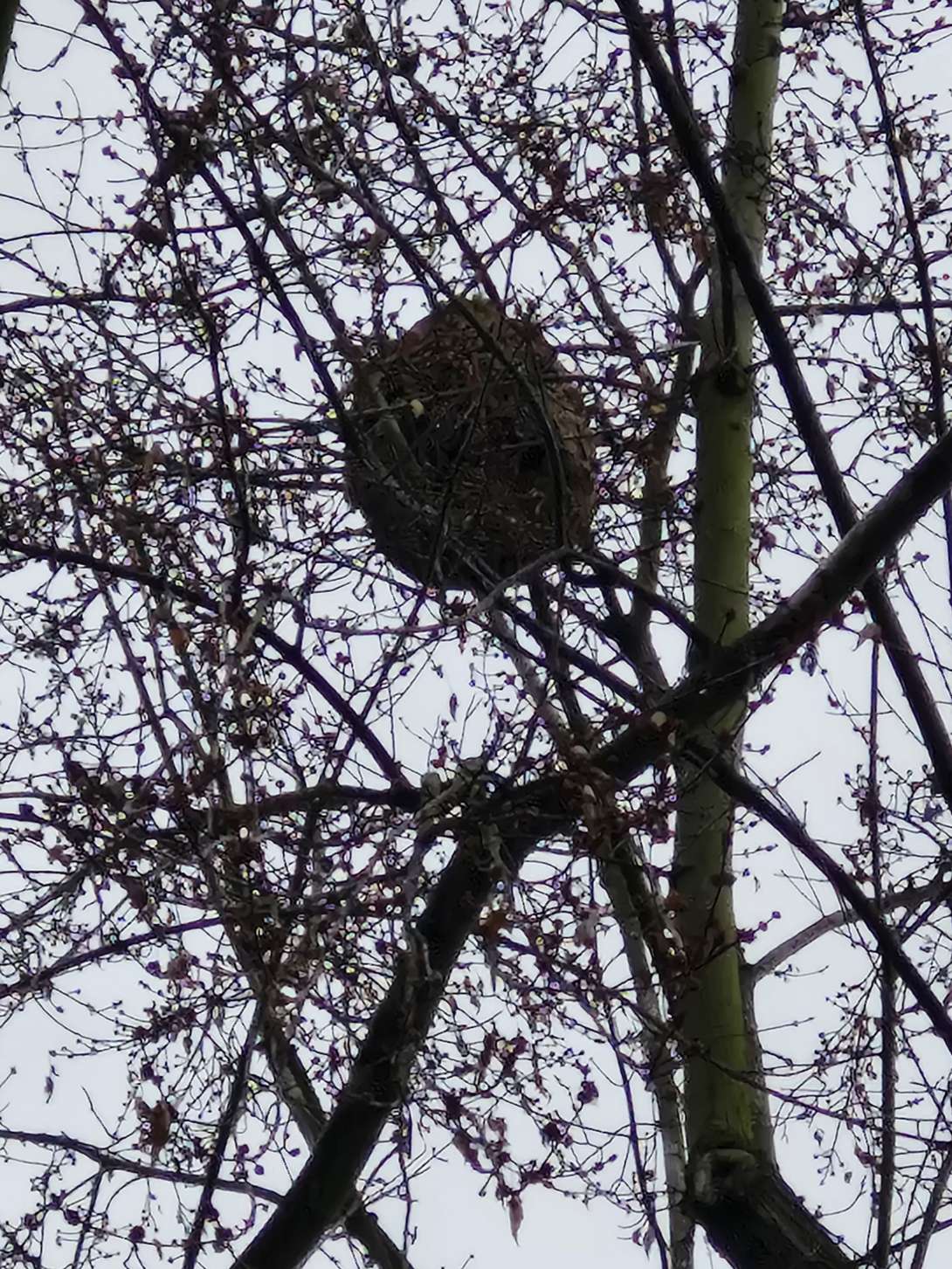 Bild zu gemeldetem Anliegen vom *2025-12-10 06:34:52