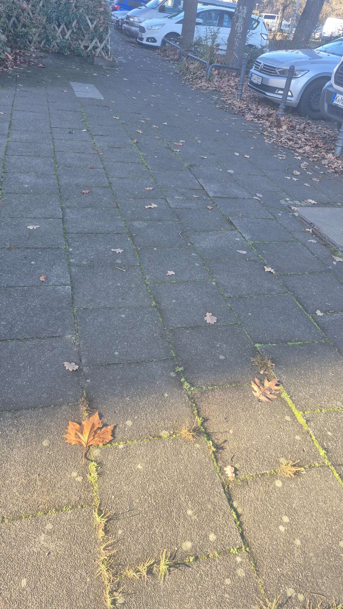 Bild zu gemeldetem Anliegen vom *2025-12-11 13:33:42