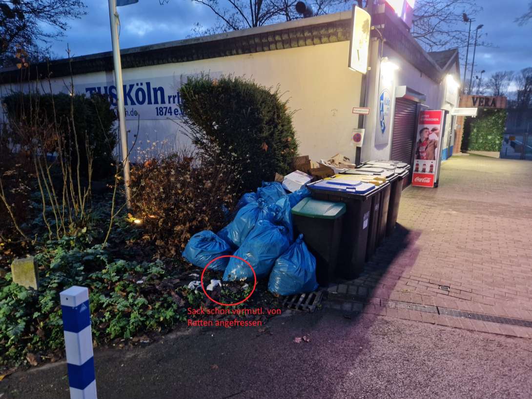 Bild zu gemeldetem Anliegen vom *2025-12-11 11:36:14