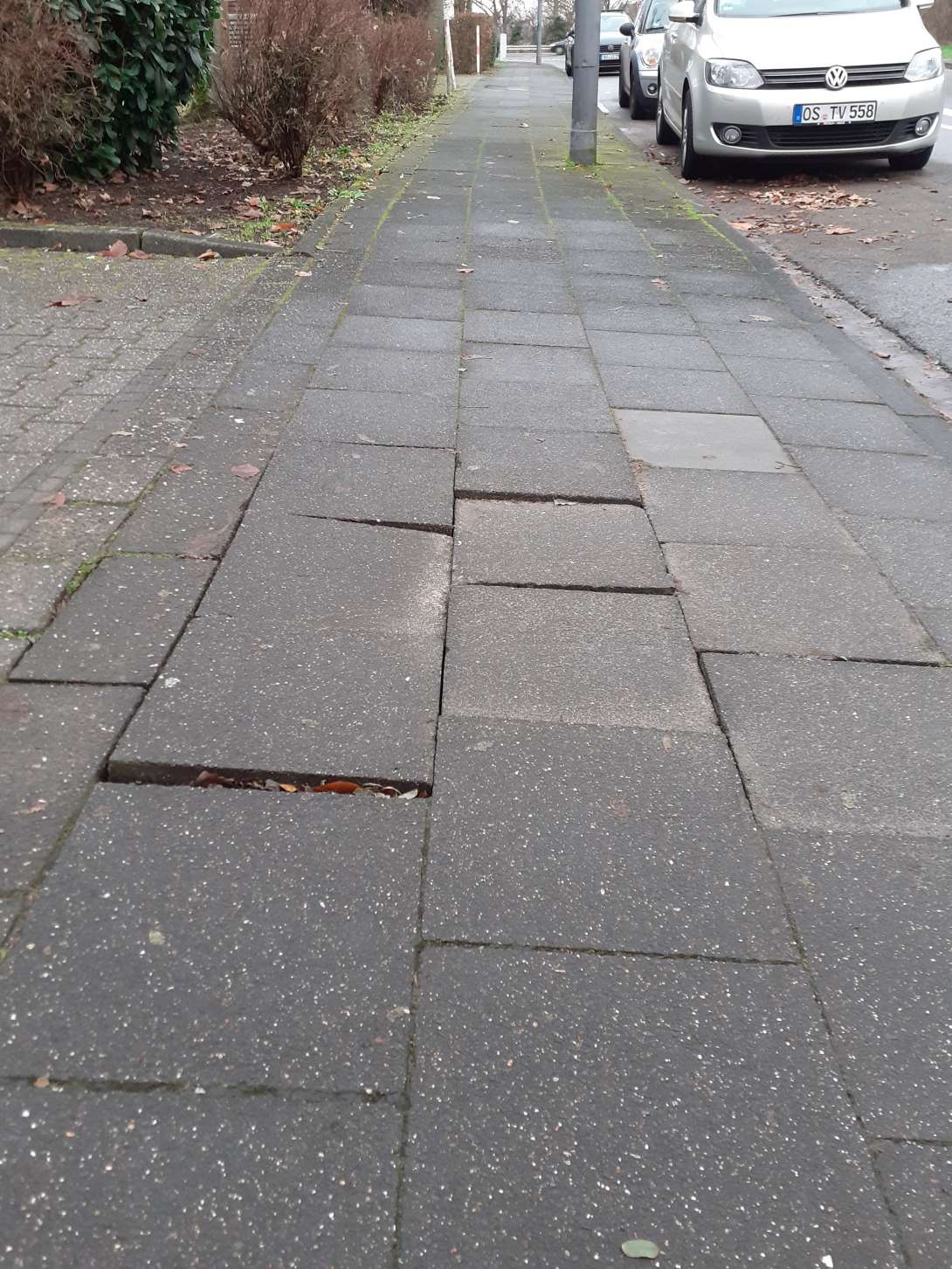 Bild zu gemeldetem Anliegen vom *2025-12-15 09:33:23