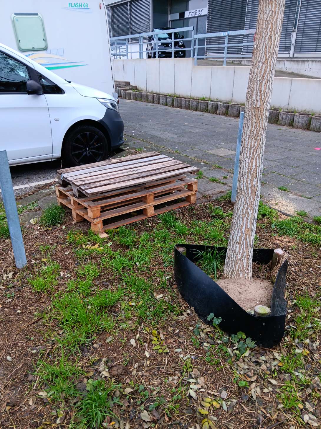 Bild zu gemeldetem Anliegen vom *2025-12-14 09:28:41