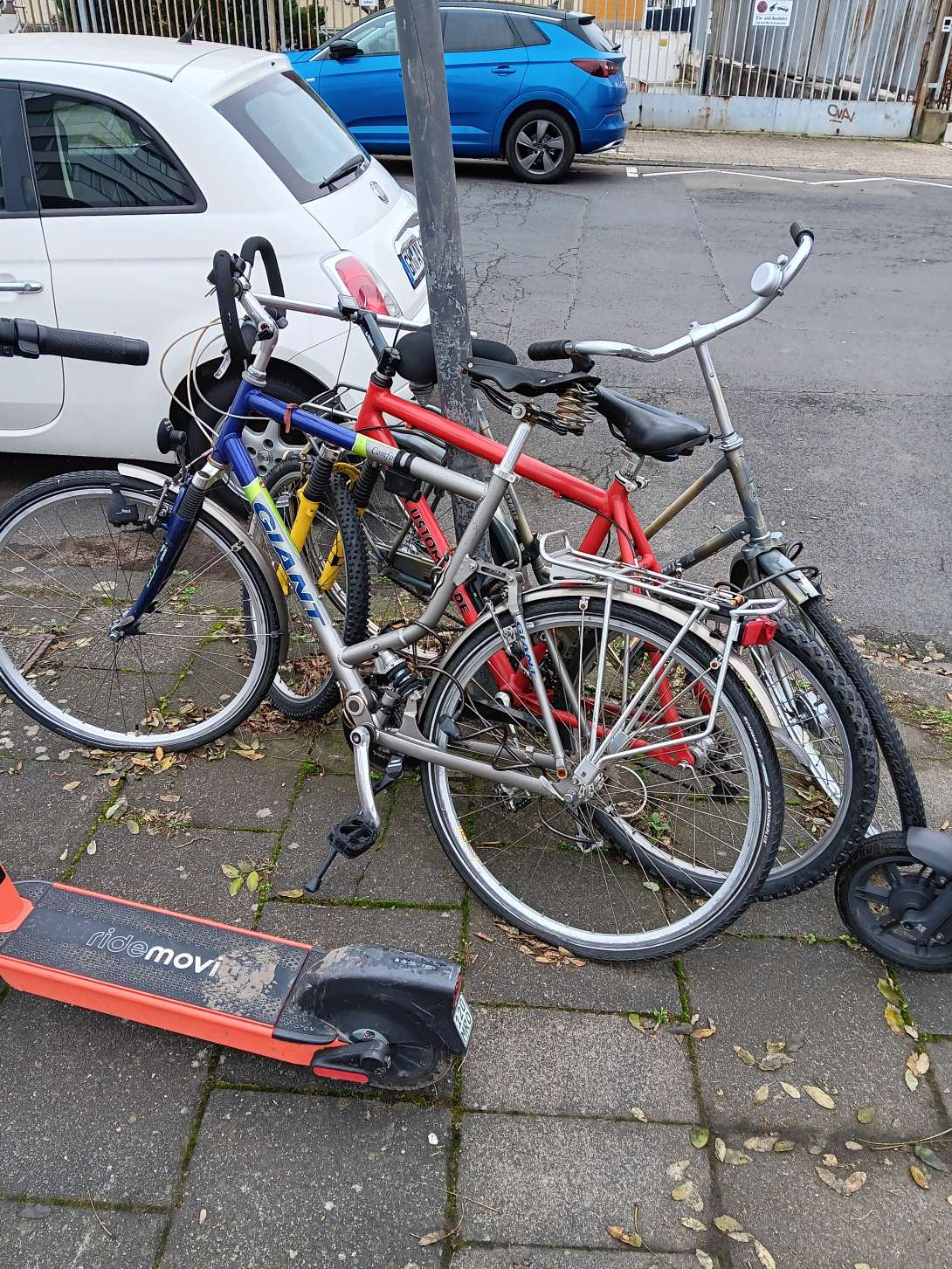 Bild zu gemeldetem Anliegen vom *2025-12-14 11:23:19