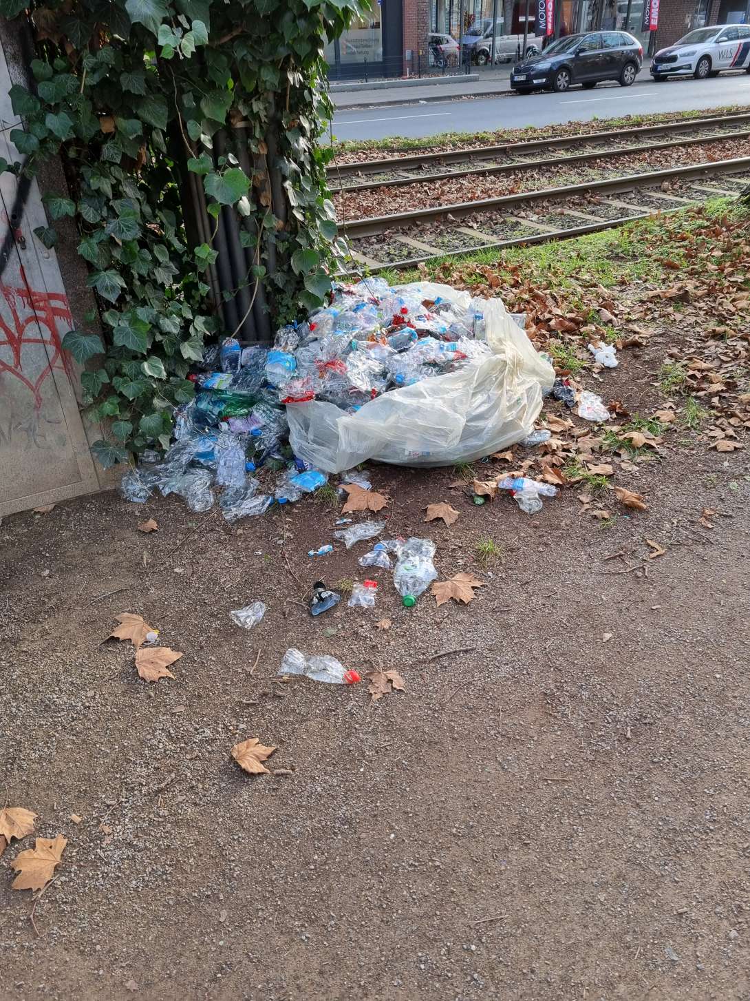 Bild zu gemeldetem Anliegen vom *2025-12-16 13:03:11