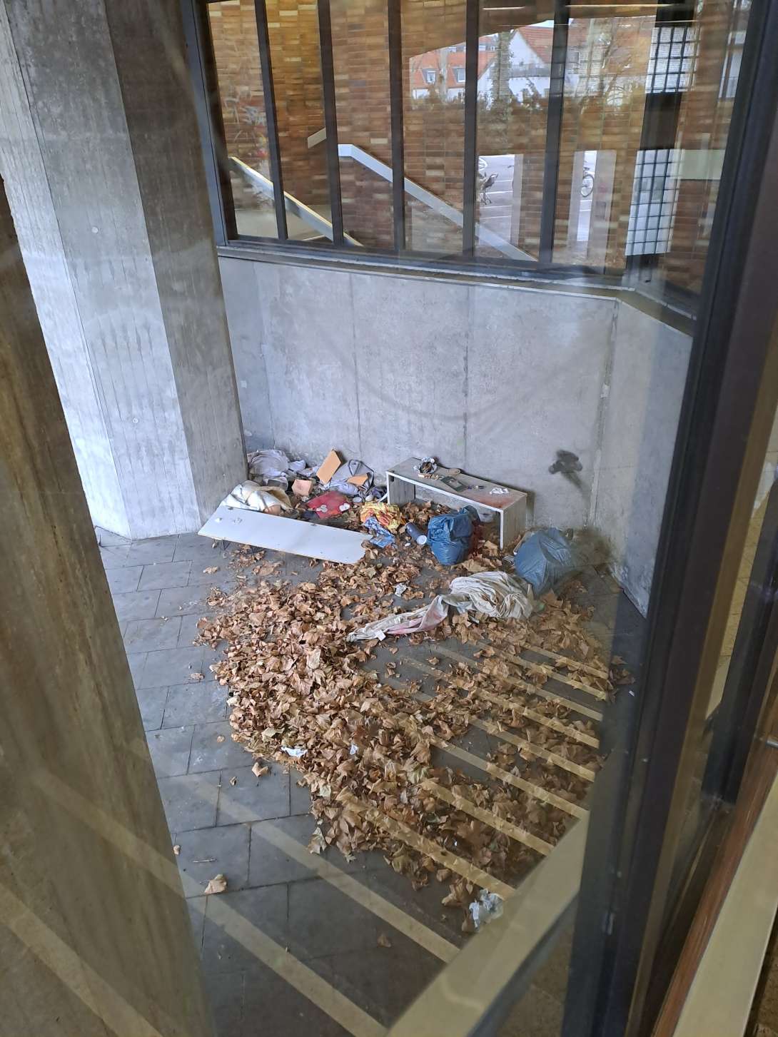 Bild zu gemeldetem Anliegen vom *2025-12-17 09:27:52