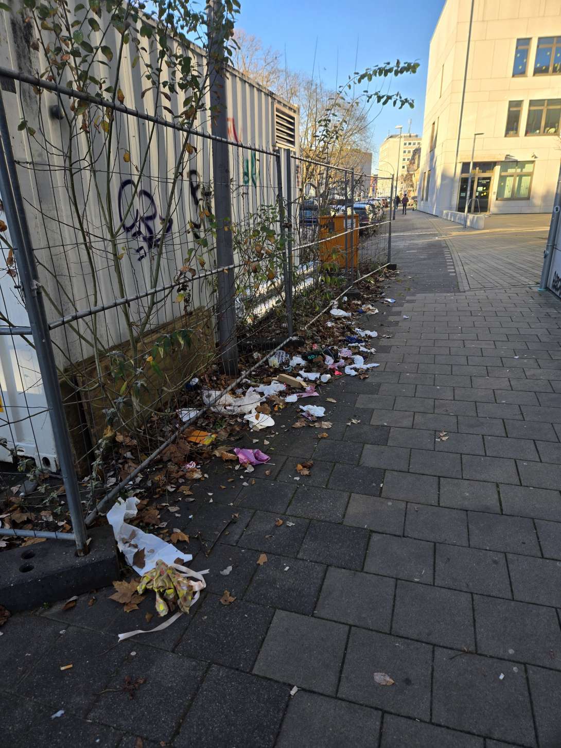 Bild zu gemeldetem Anliegen vom *2025-12-28 12:31:37