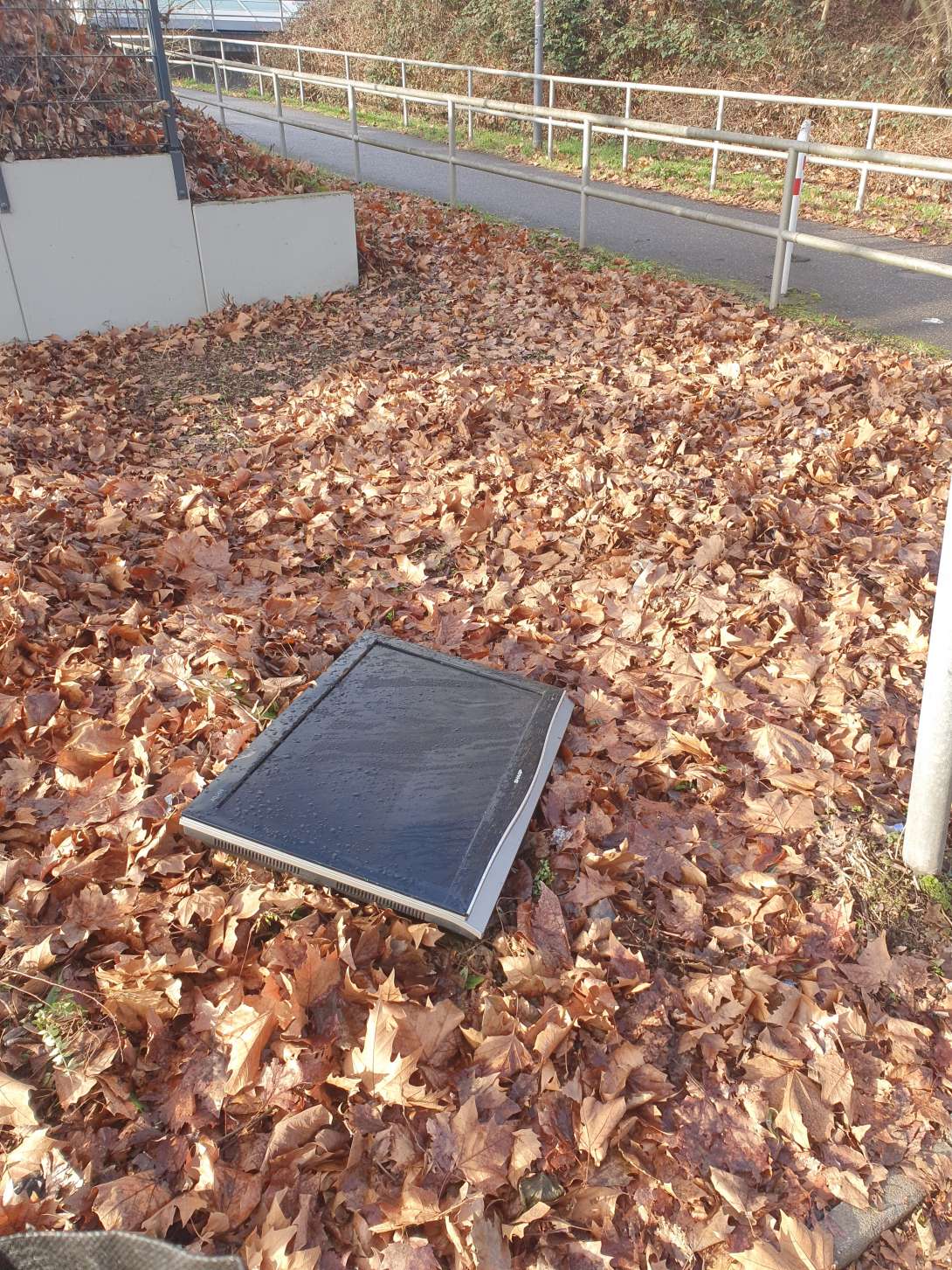 Bild zu gemeldetem Anliegen vom *2025-12-30 13:38:11