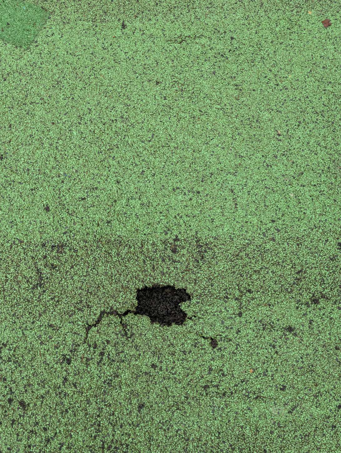 Bild zu gemeldetem Anliegen vom *2025-12-20 13:42:12