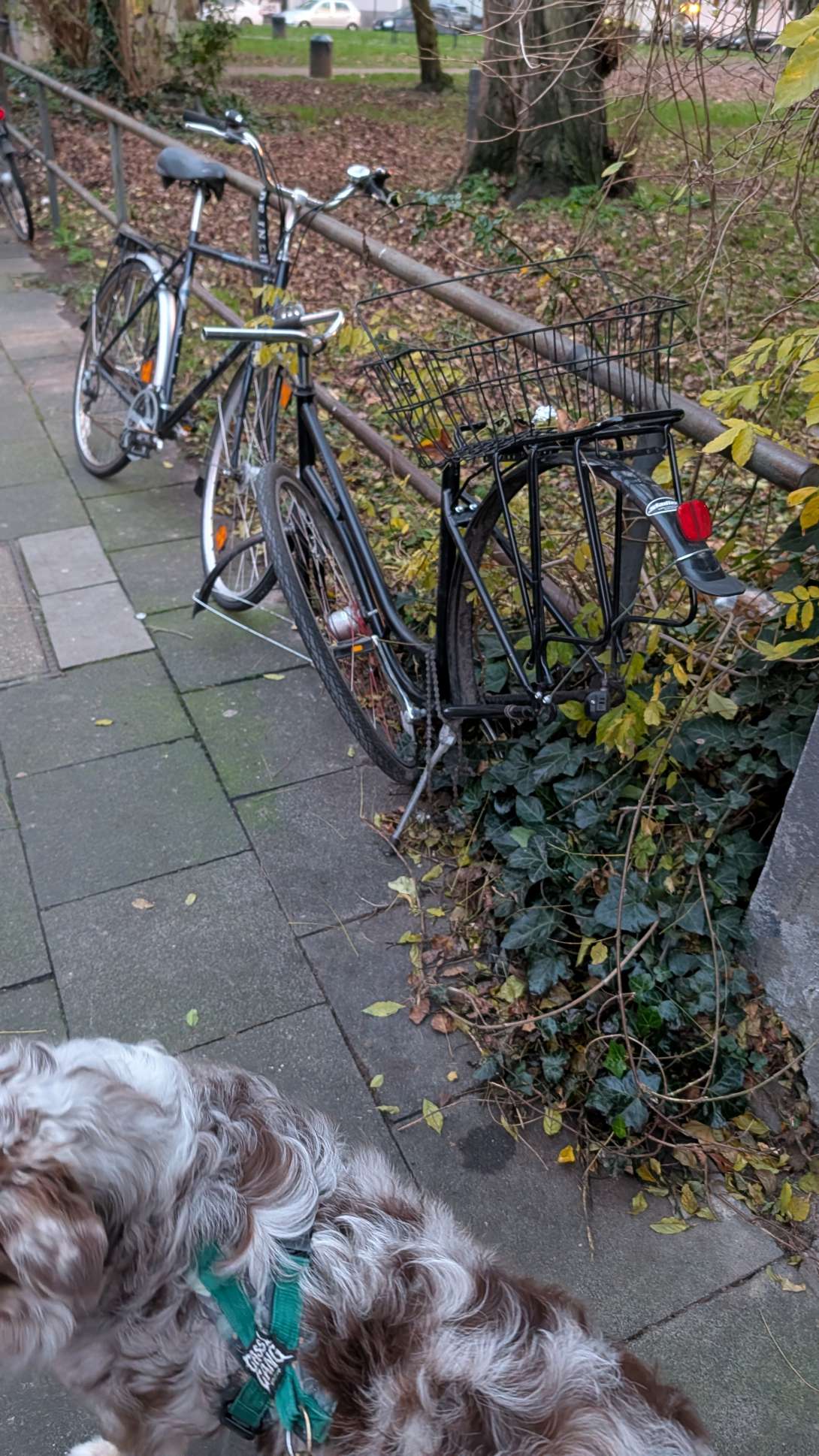 Bild zu gemeldetem Anliegen vom *2025-12-16 15:34:01