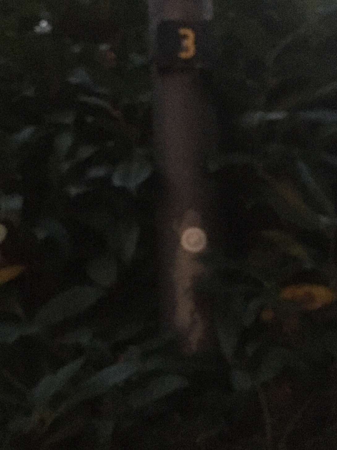 Bild zu gemeldetem Anliegen vom *2025-12-22 16:19:23