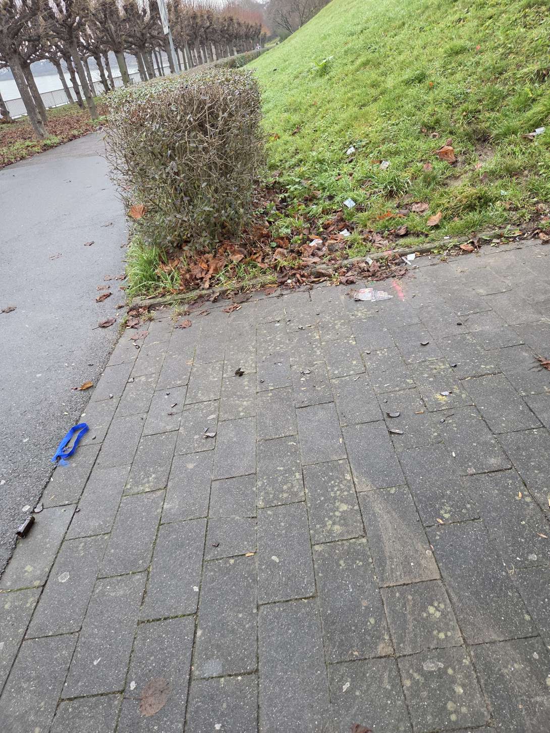 Bild zu gemeldetem Anliegen vom *2025-12-22 09:45:30