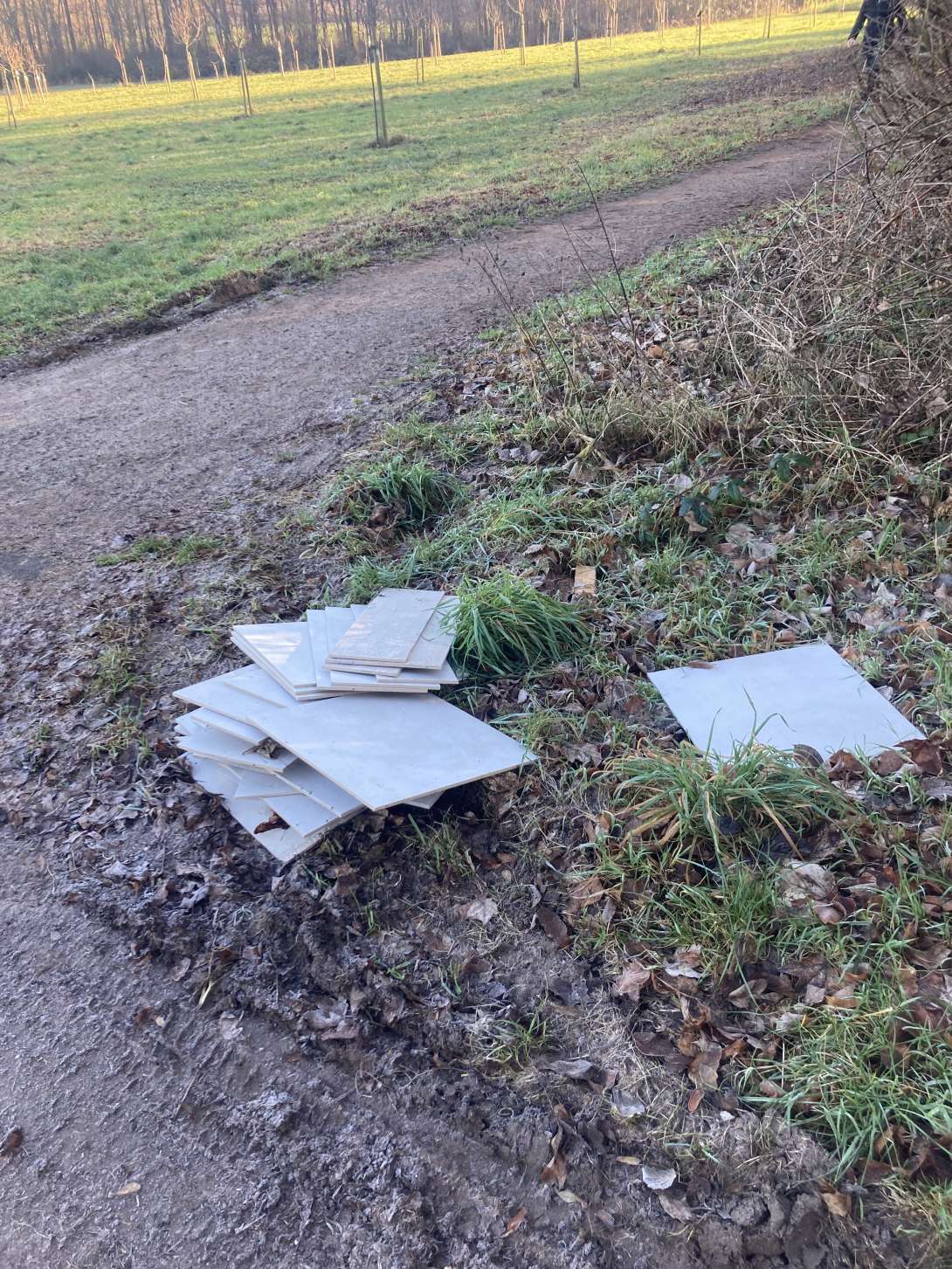 Bild zu gemeldetem Anliegen vom *2026-01-05 06:11:12