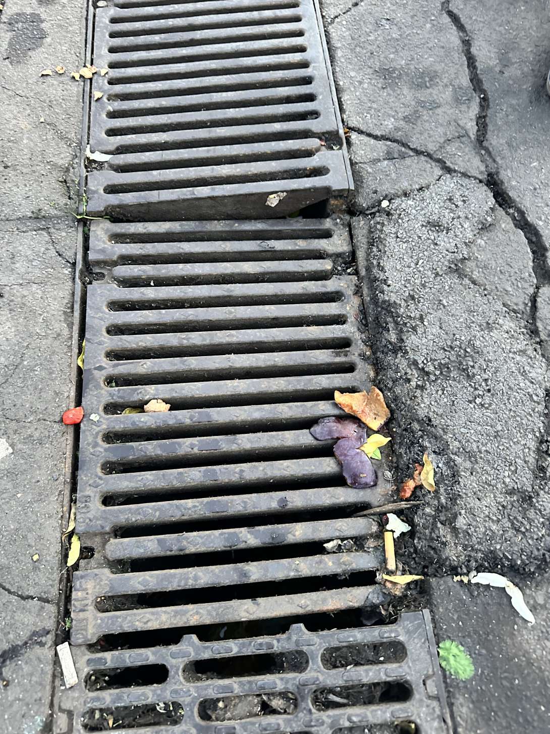 Bild zu gemeldetem Anliegen vom *2025-12-19 11:36:42