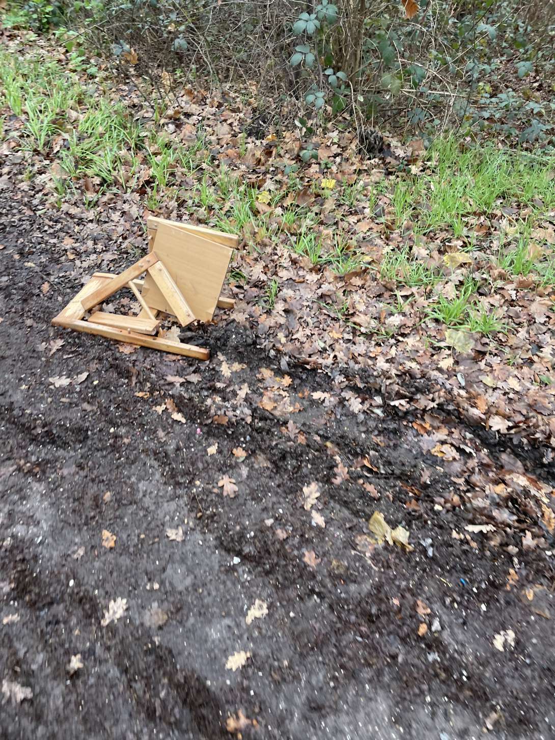 Bild zu gemeldetem Anliegen vom *2025-12-03 16:08:29